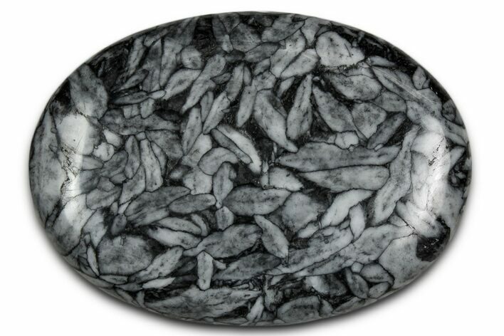 Polished Pinolite Palm Stone - Austria #343894